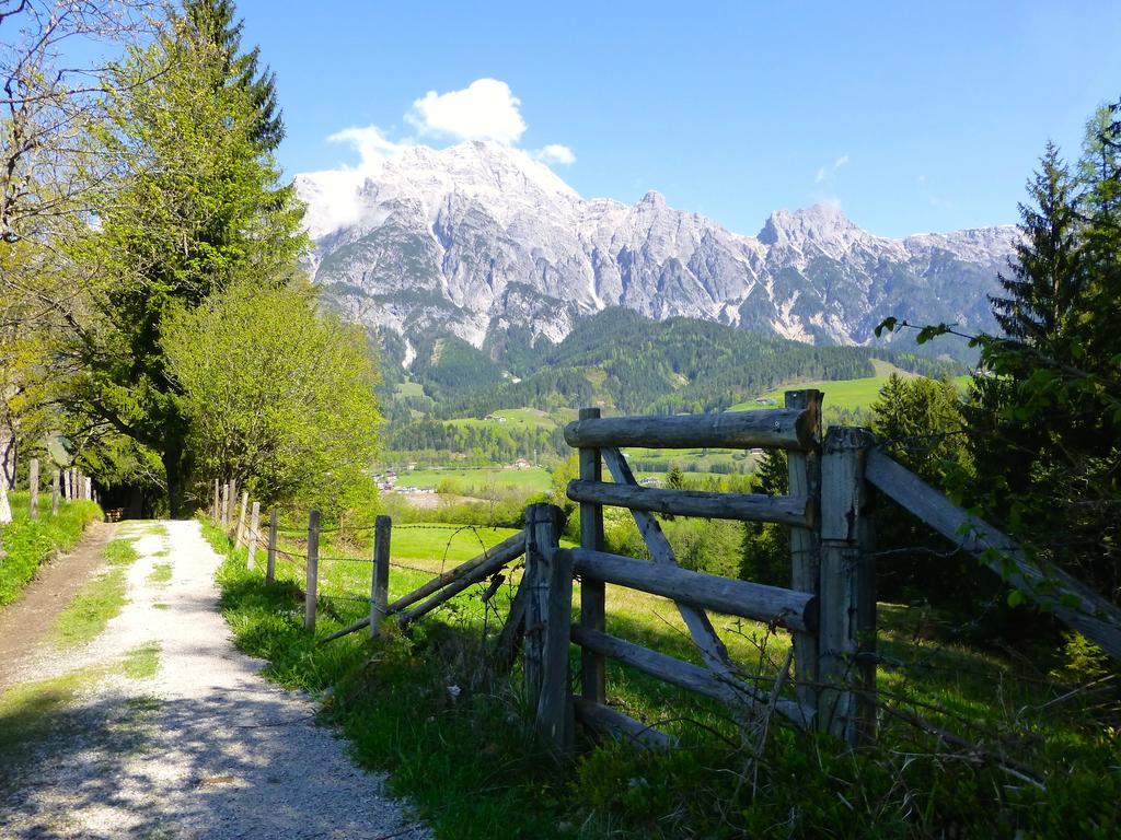 Alpin Lodge Leogang By Alpin Rentals Rom bilde