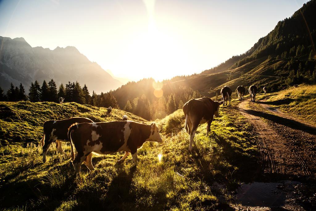 Alpin Lodge Leogang By Alpin Rentals Eksteriør bilde
